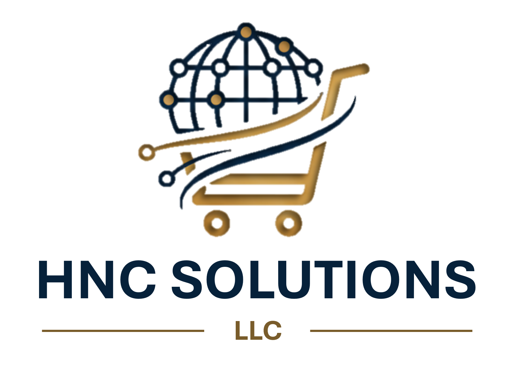 HENRY CAICEDO - HNC SOLUTIONS LLC
